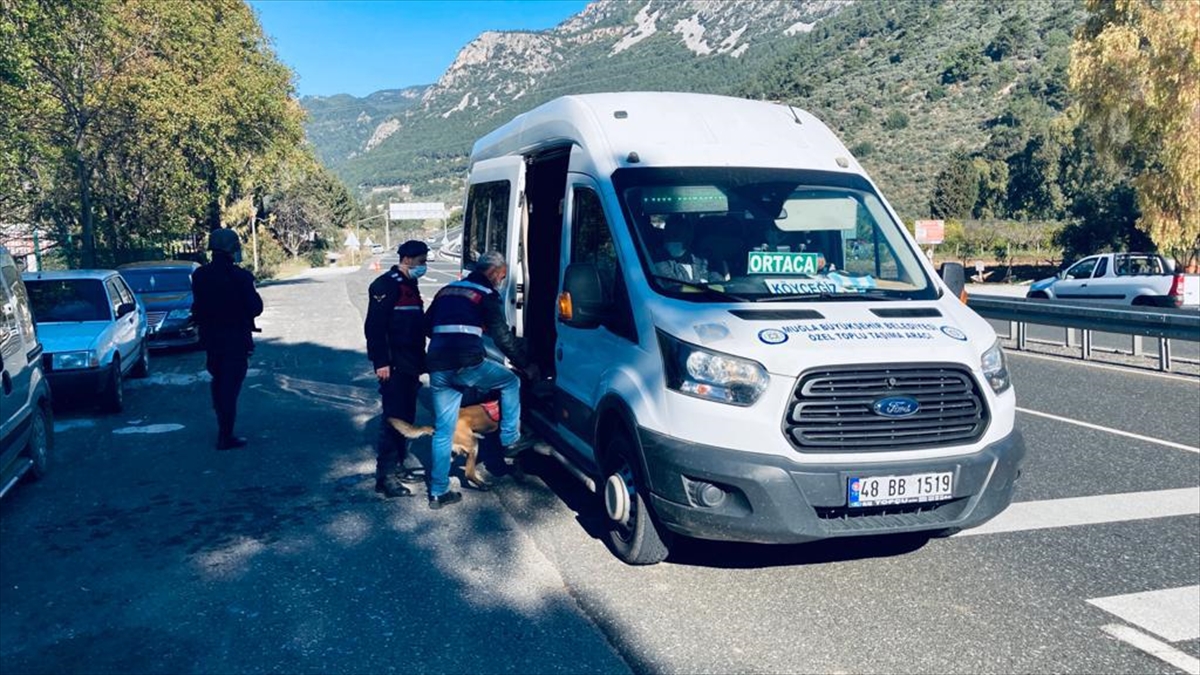 Muğla'da Kovid-19 tedbirlerine ve trafik kurallarına uymayan 5 kişiye 11 bin lira ceza kesildi