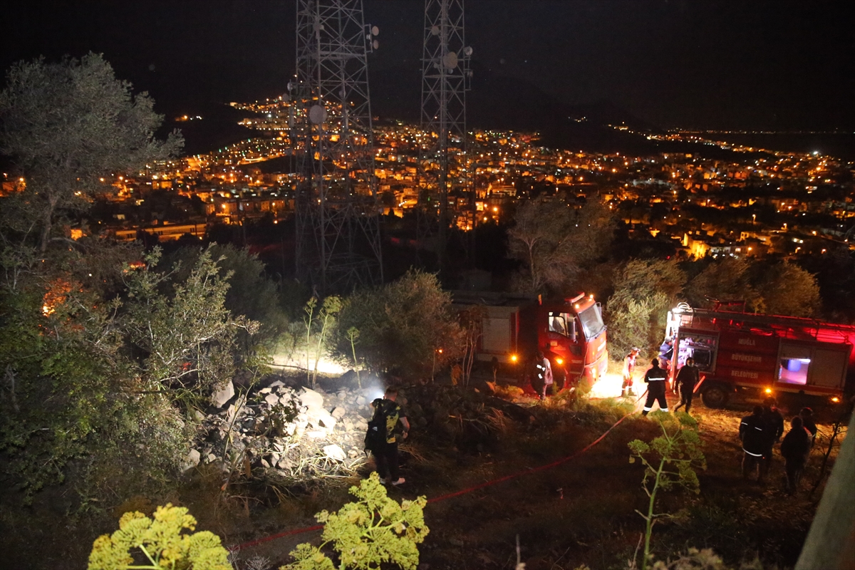 Bodrum'da makilik ve otluk alanda çıkan yangın söndürüldü