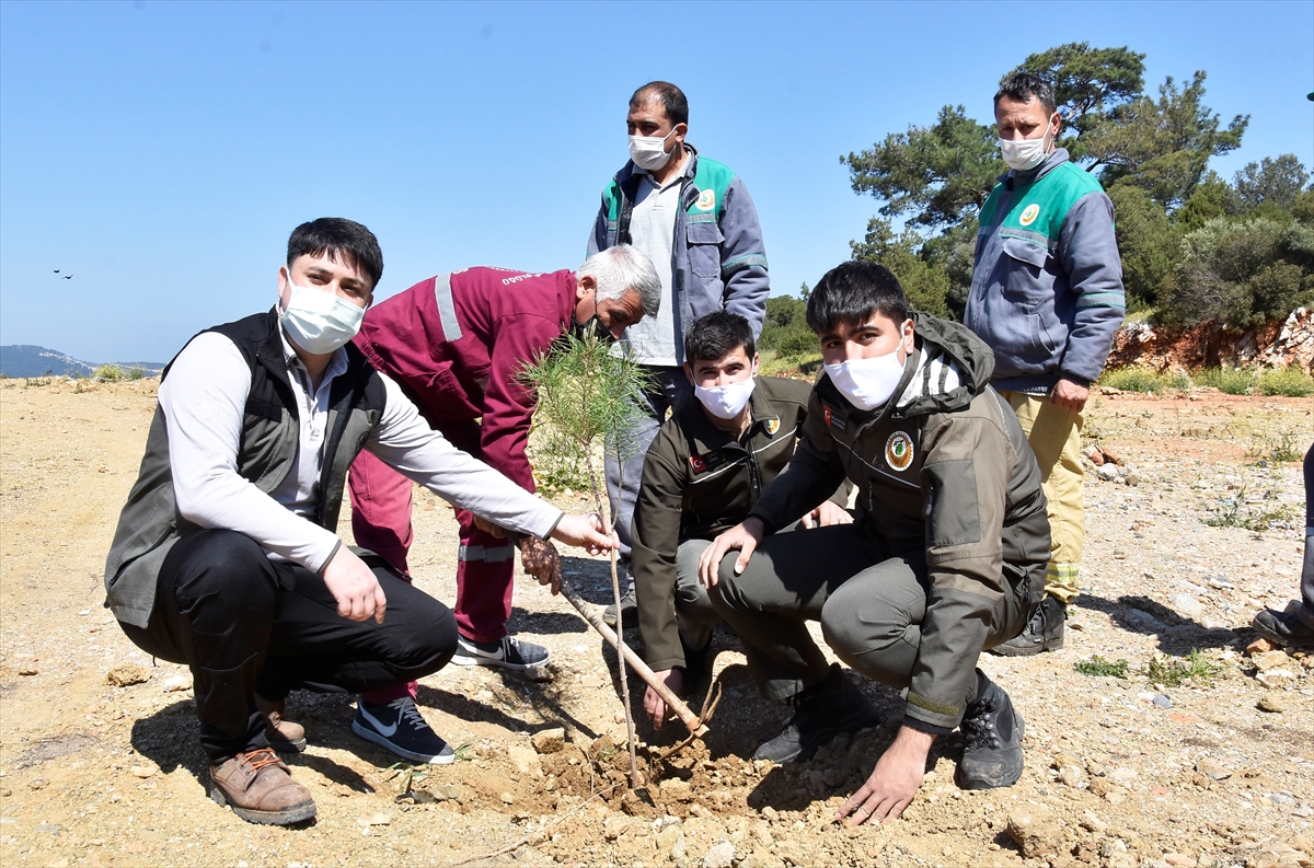 Bodrum'da sağlık çalışanları anısına fidan dikildi