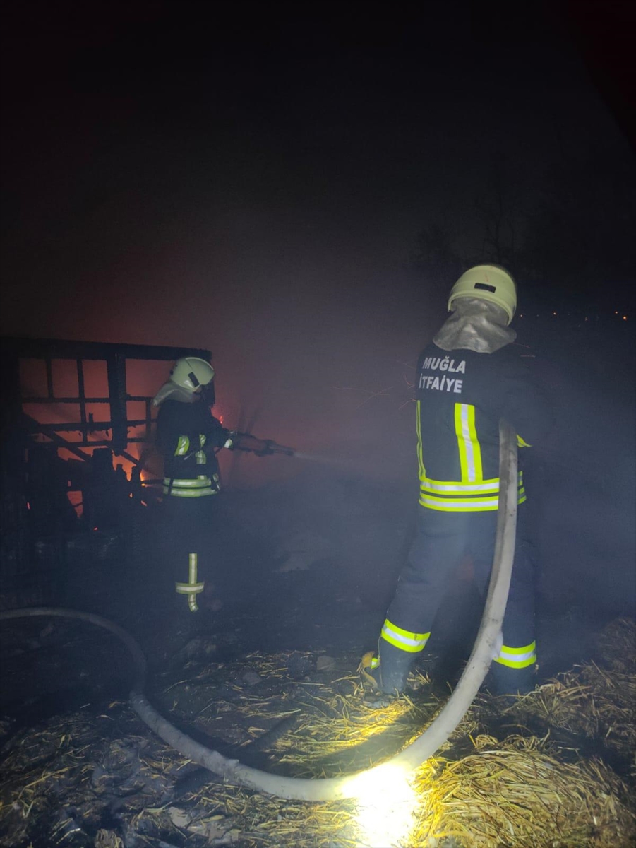 Muğla'da depoda çıkan ve ağıla sıçrayan yangın söndürüldü