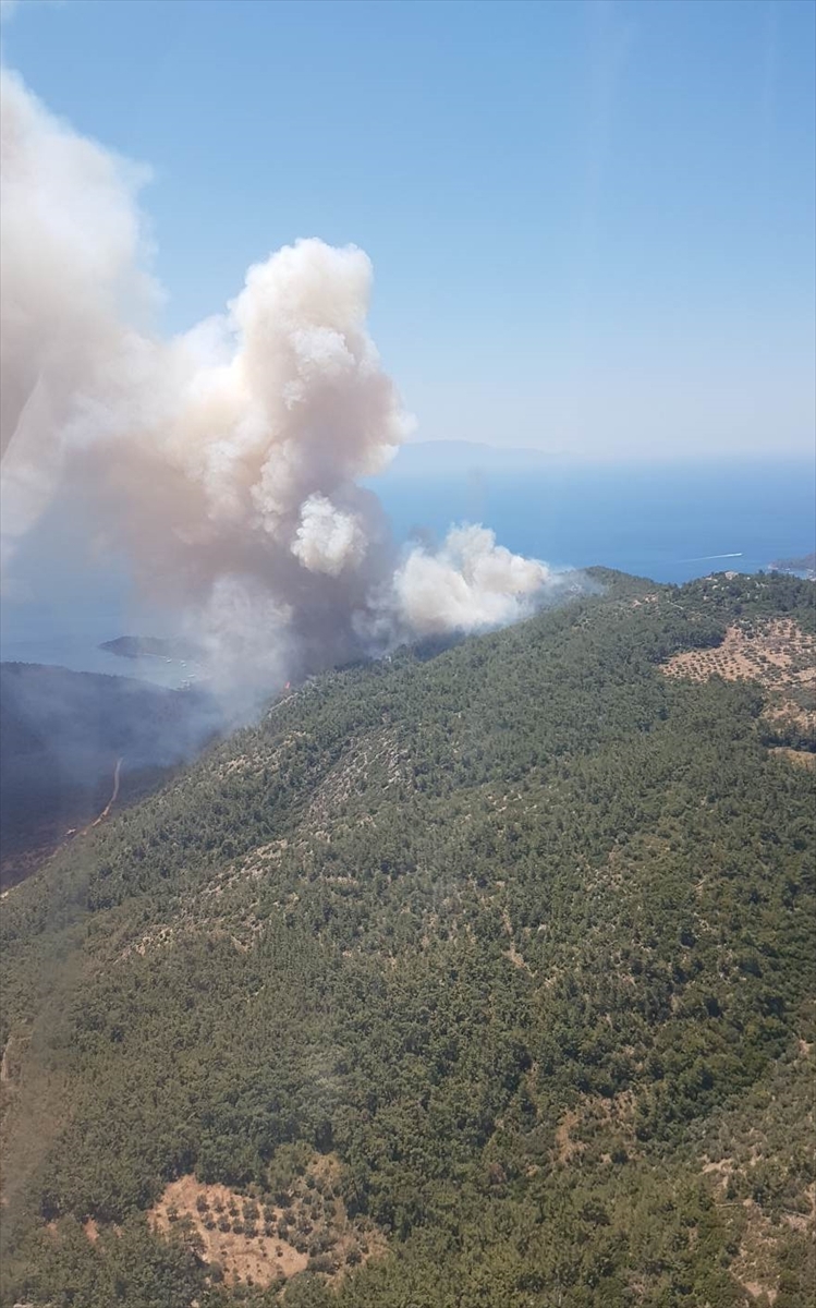 Muğla'nın Milas ilçesinde orman yangını çıktı