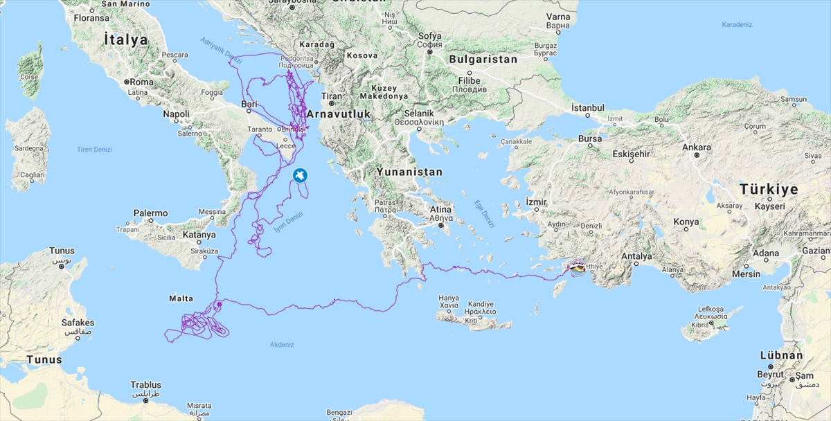 Uydudan izlenen "Caretta Tuba" yaklaşık iki yılda 10 bin kilometre yol aldı