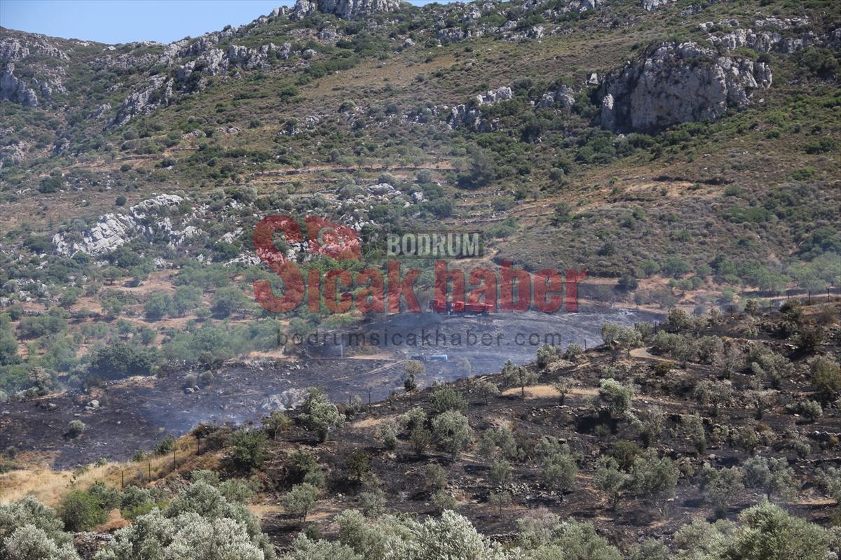 Muğla'da zirai alanda çıkan yangın hava ve karadan müdahaleyle söndürüldü