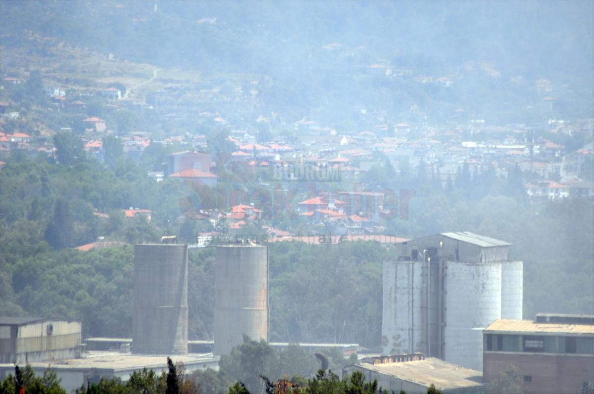 Dalaman'da ormanlık alana sıçrayan yangının başladığı fabrikada soğutma çalışmaları devam ediyor