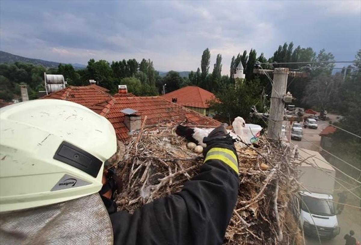 Muğla'da ayağına ip dolanan leyleği itfaiye kurtardı