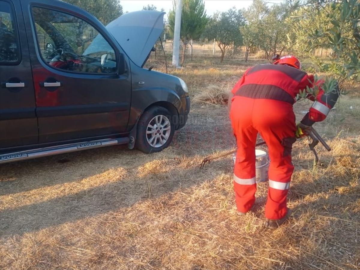 Muğla'da otomobilin motoruna giren yılan itfaiye ekiplerince çıkarıldı