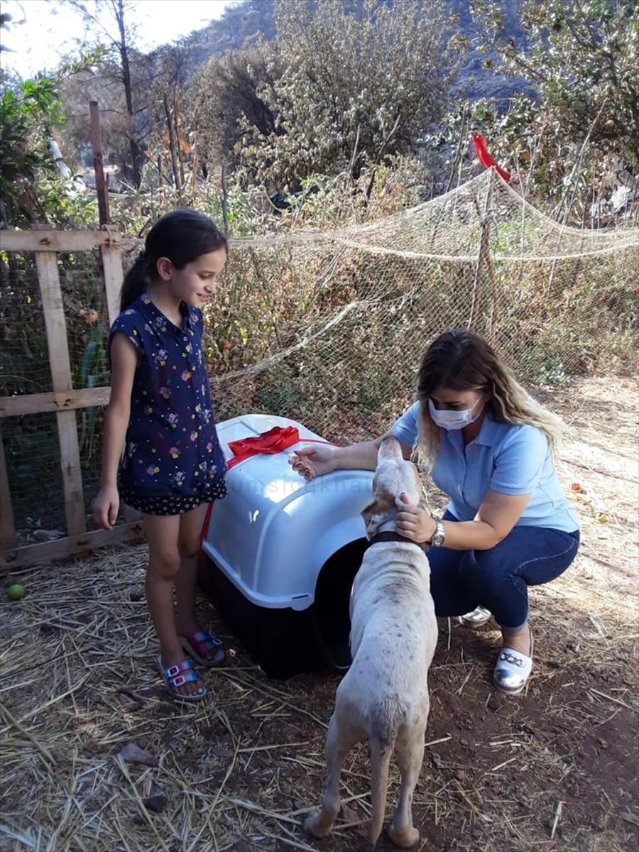 Marmaris'teki yangında köpeğinin kulübesi yanan çocuğun dileğini Kaymakamlık gerçekleştirdi