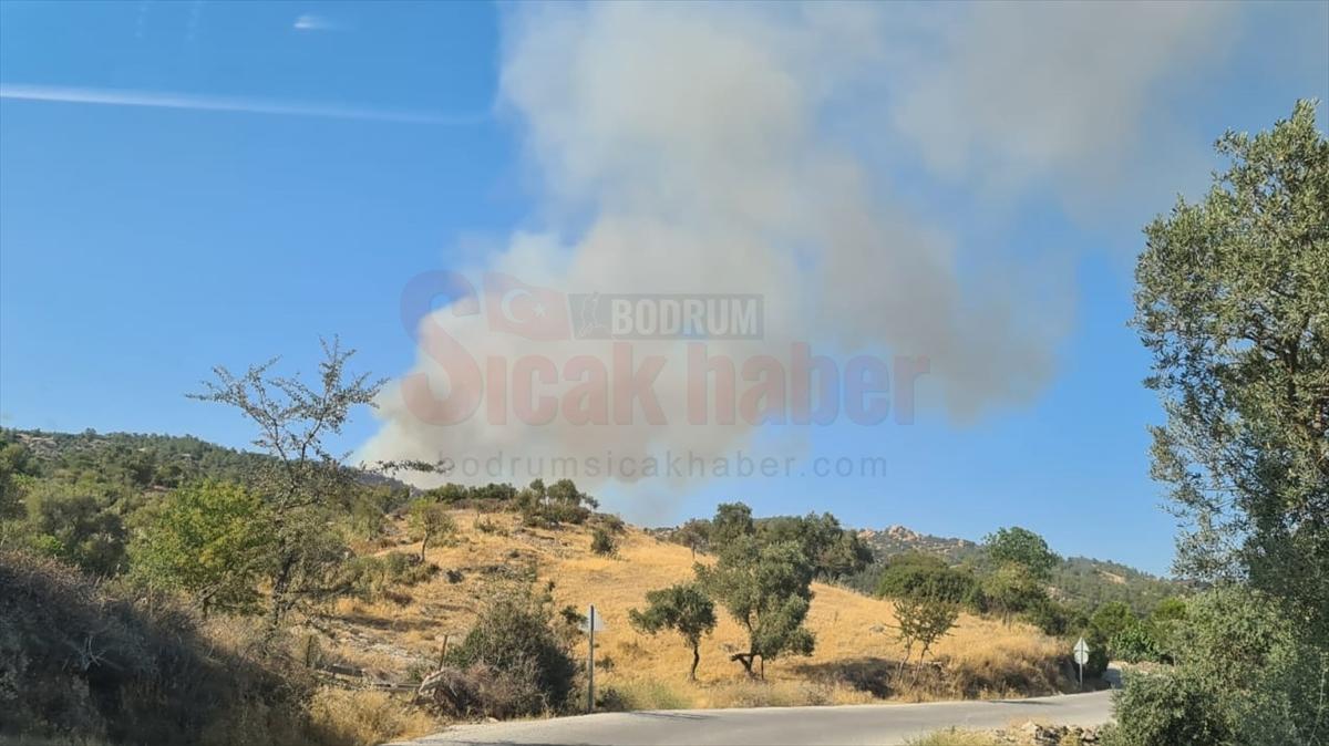 Muğla'nın Yatağan ilçesindeki ormanlık alanda çıkan yangına müdahale ediliyor