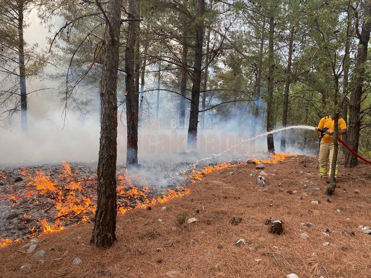 Muğla'da 13 noktada çıkan orman yangınları kontrol altına alındı