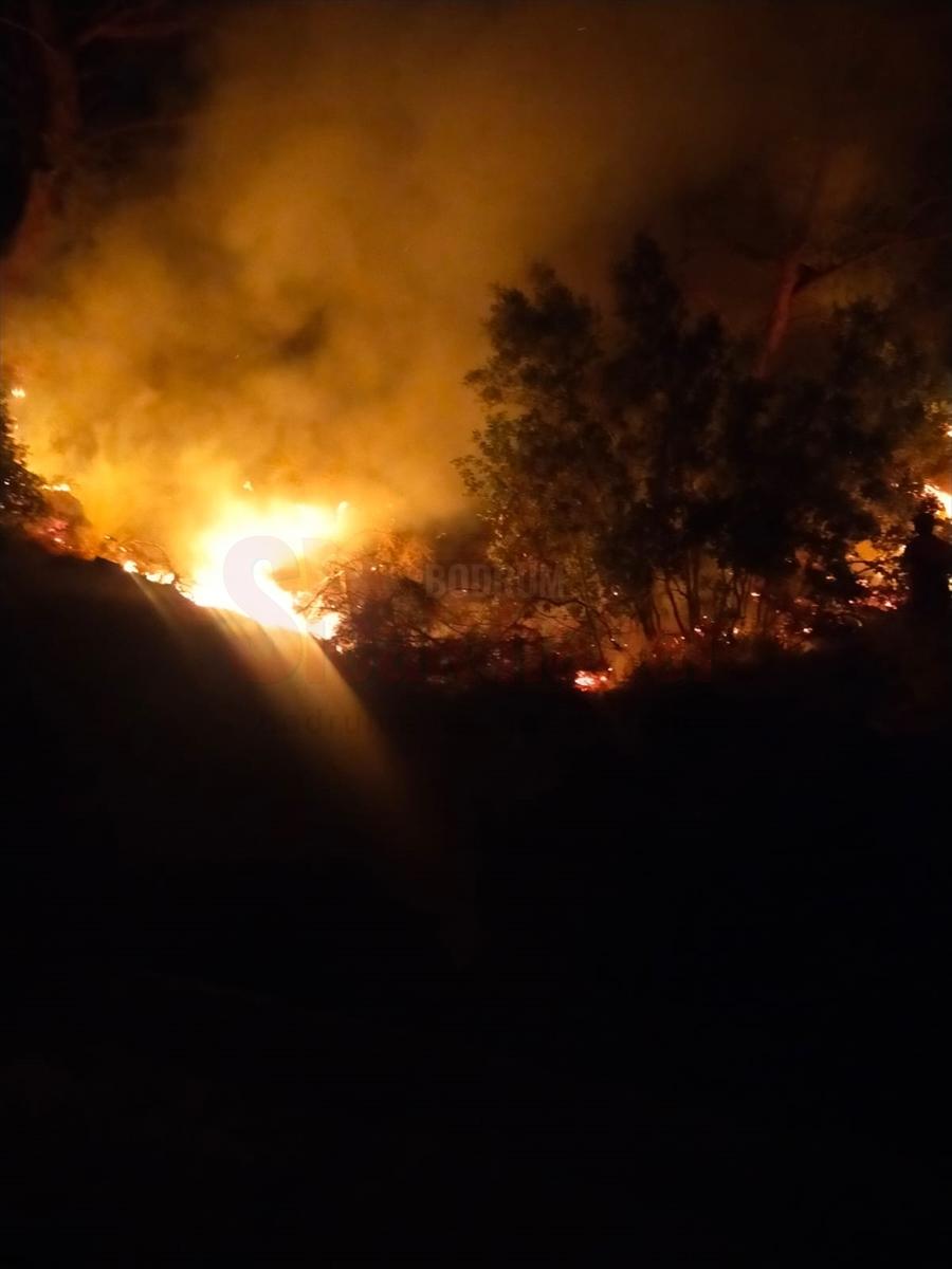 Bodrum'da çıkan orman yangını söndürüldü