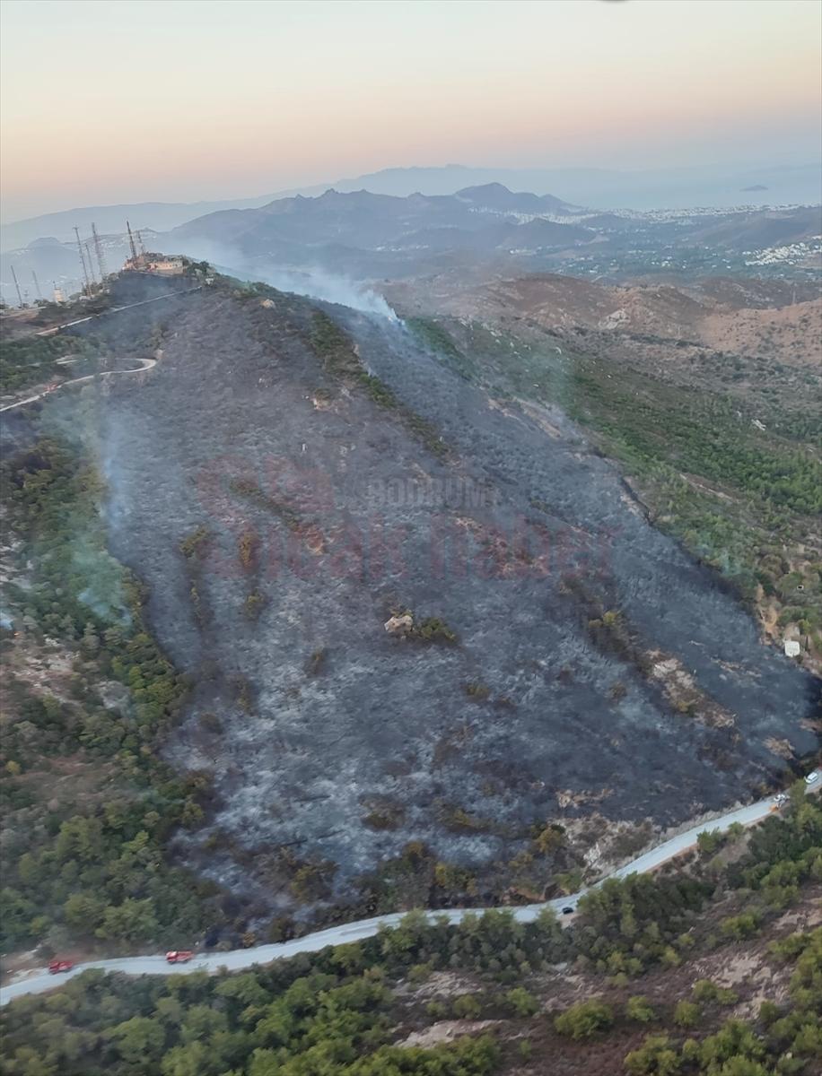 Bodrum'da çıkan yangında 5 hektar makilik alan zarar gördü