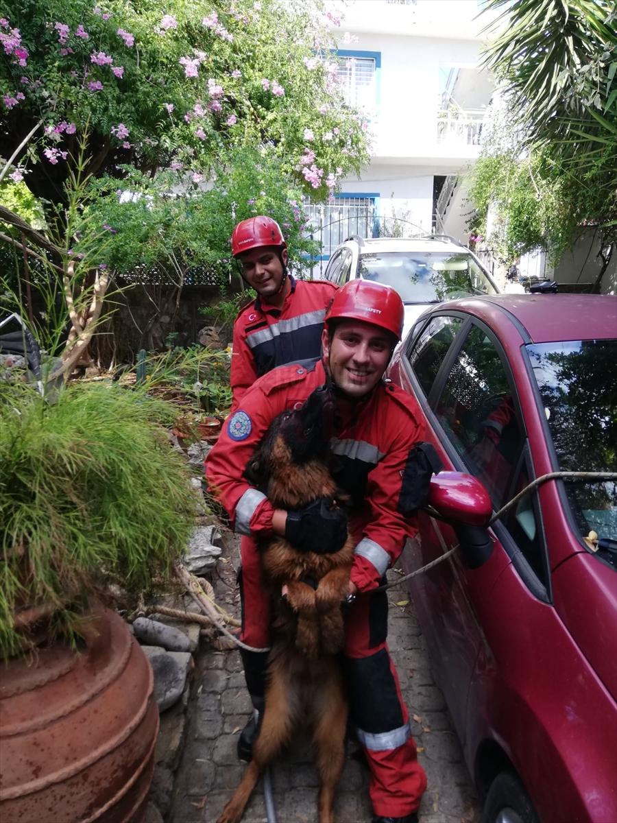 Muğla'da su kuyusuna düşen köpek kurtarıldı