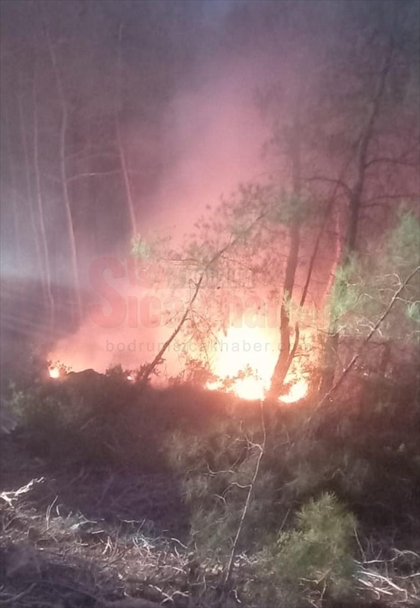 Muğla'da çıkan orman yangını söndürüldü