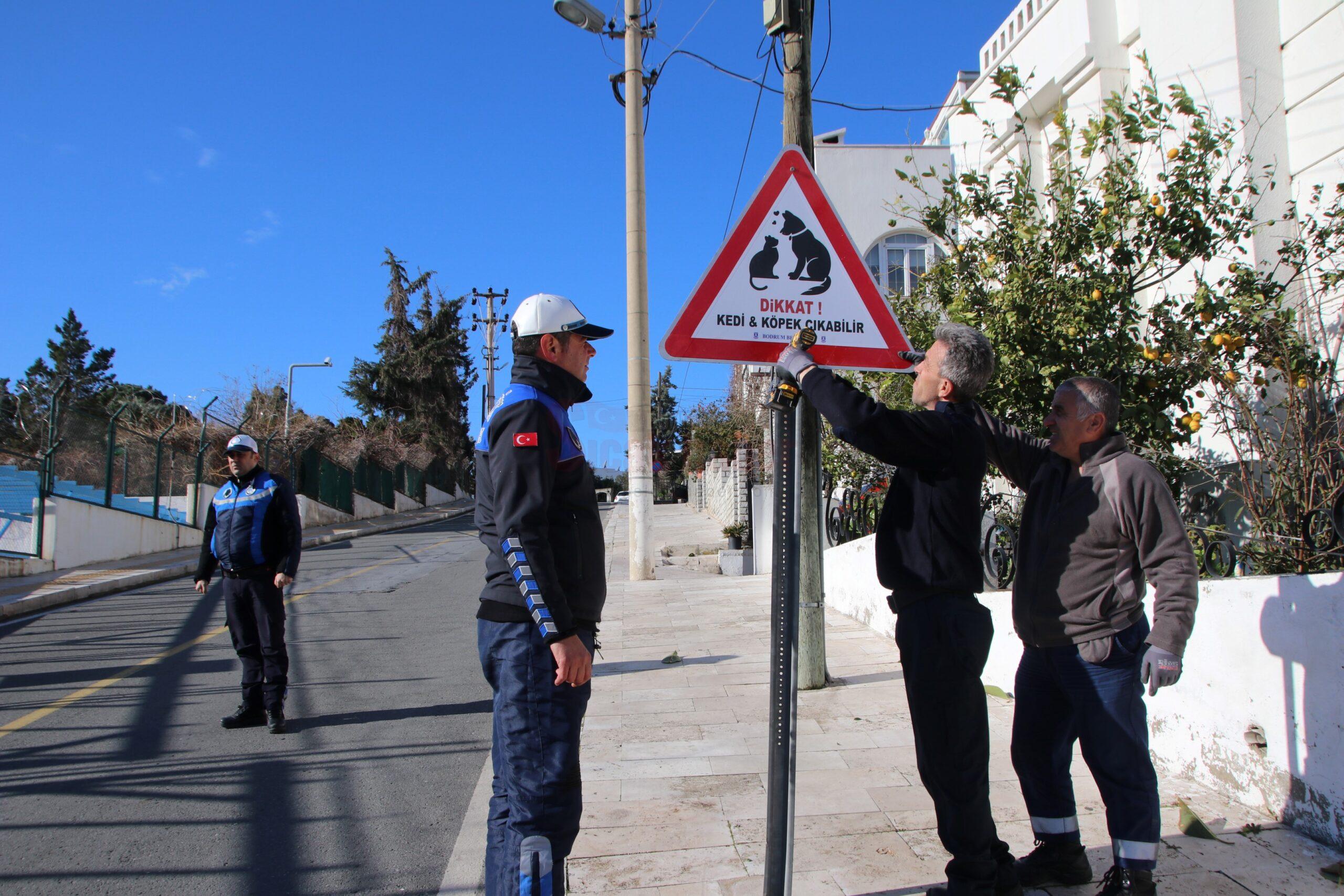 BODRUM-BELEDIYESINDEN-CANLAR-ICIN-TABELA-2