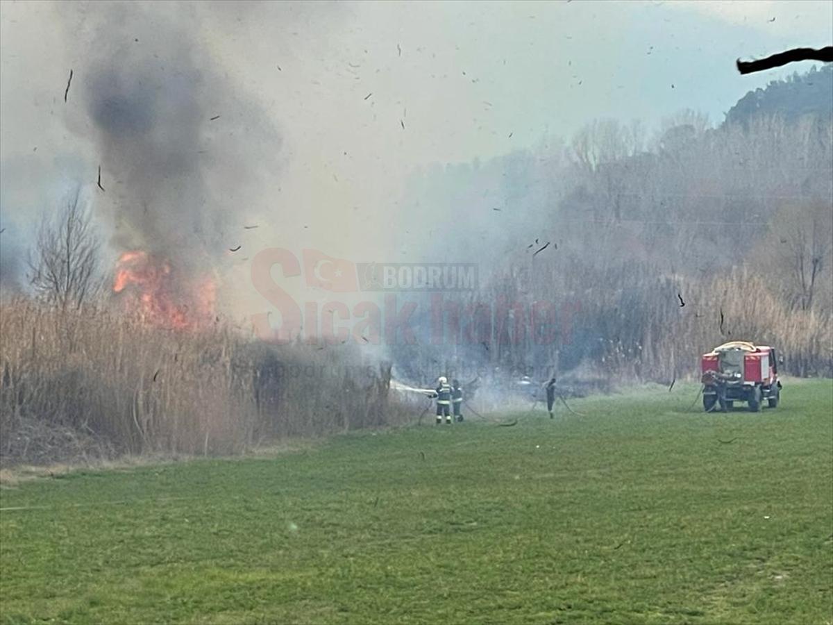 Muğla'da sazlık alanda çıkan yangın söndürüldü