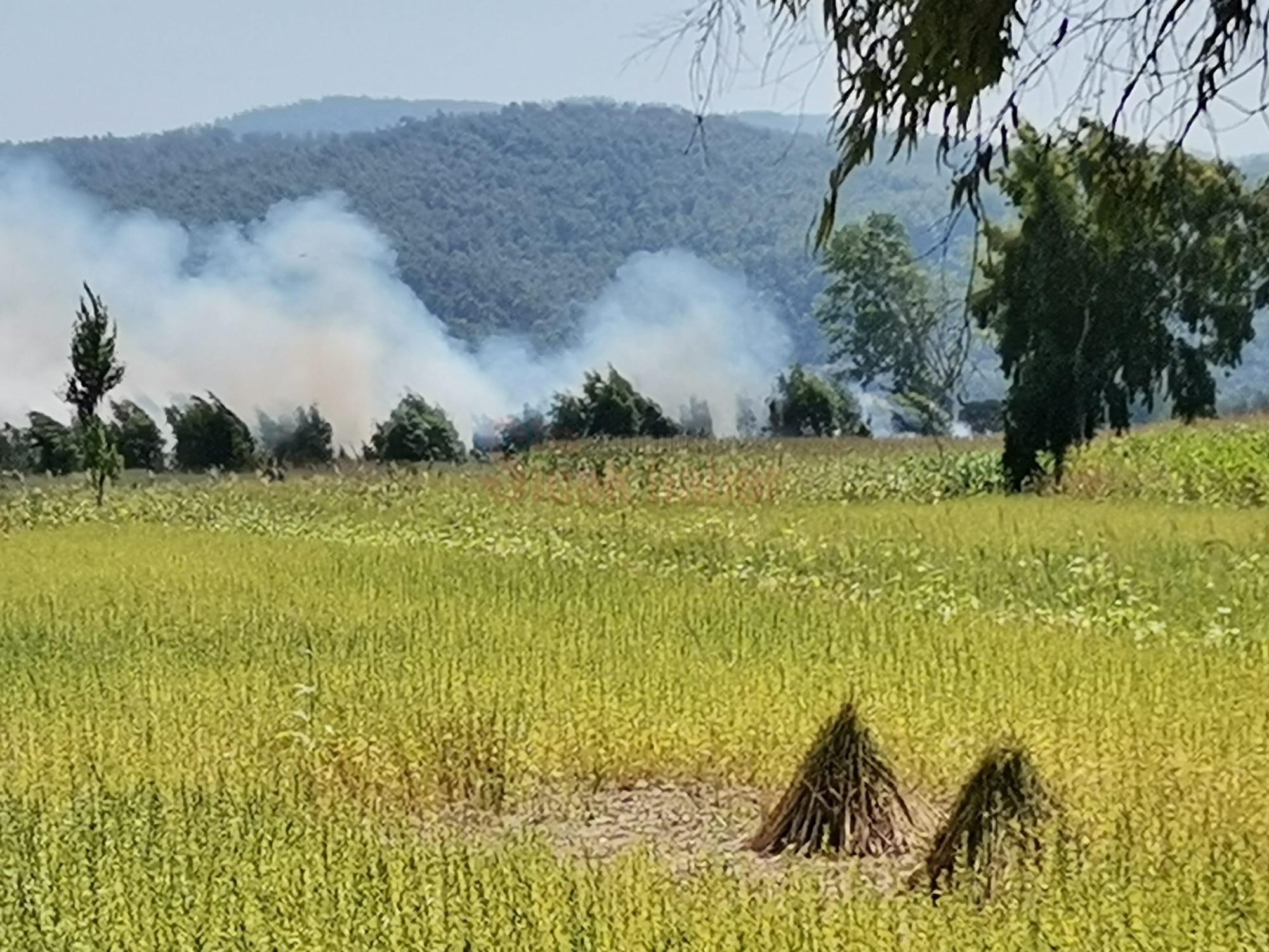 MUĞLA'DA TARIM ARAZİNDE YANGIN ÇIKTI