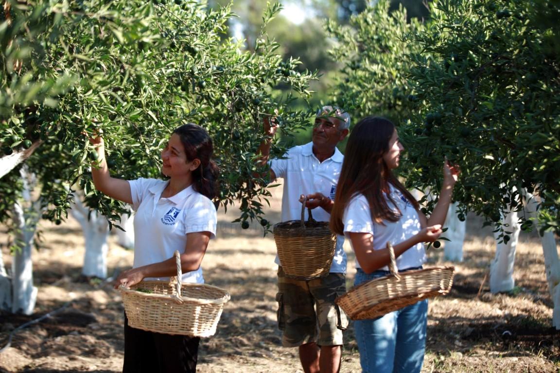 yesil_bodrum_mandalini_bulusmasi1