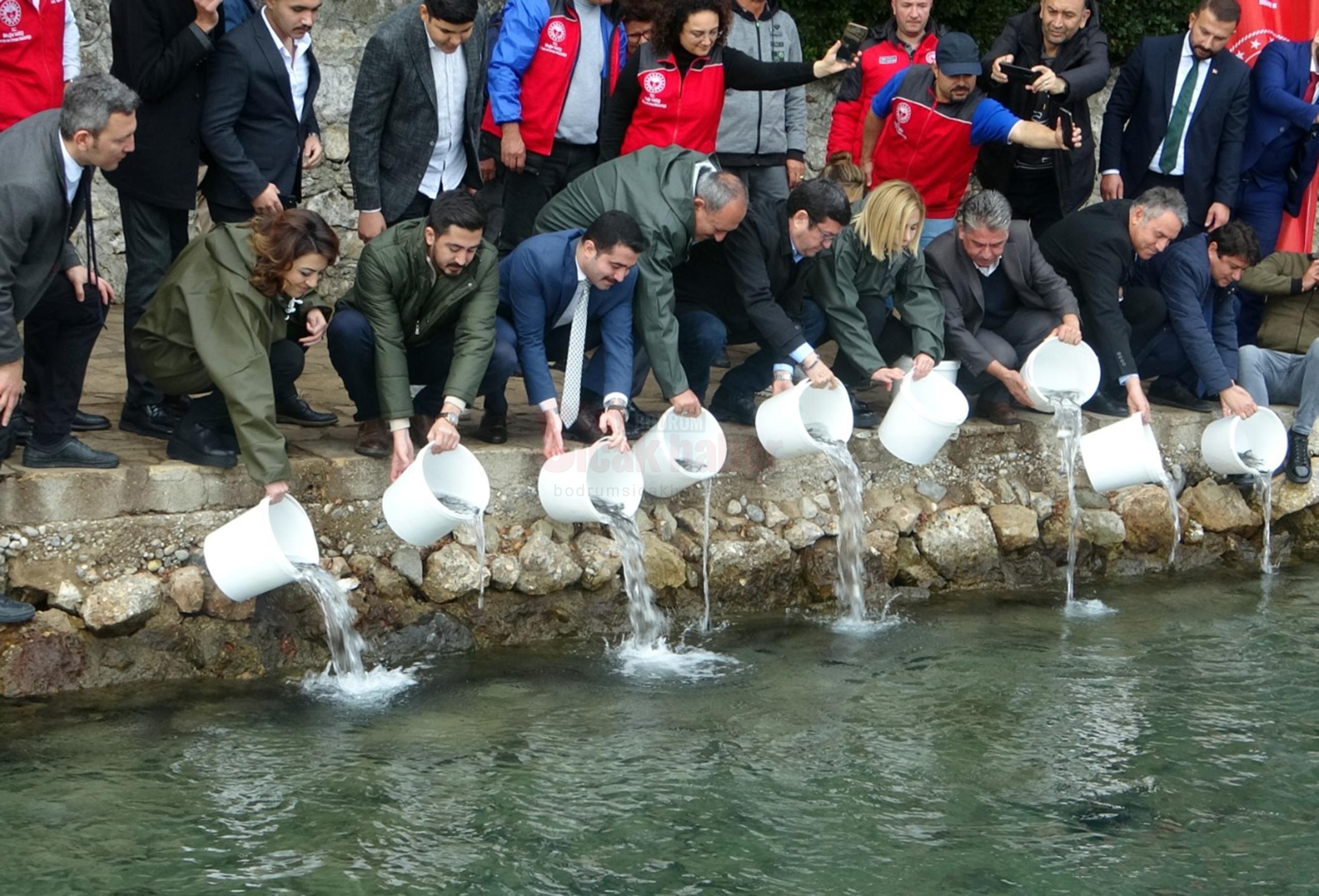 MUĞLA'DA DÜNYA BALIKÇILIK GÜNÜ DENİZDE KUTLANDI DENİZE 60 BİN BALIK BIRAKILDI KADIN BALIKÇILAR İLE AĞ ÇEKİLDİ BİN 480 KİLOMETRE KIYI UZUNLUĞU VE TÜRKİYE BALIK İHRACATINDA İLK SIRADA YER ALAN MUĞLA'DA 21 KASIM DÜNYA BALIKÇILIK GÜNÜ AKYAKA GÖKOVA KÖRFEZİ'NDE KUTLANDI