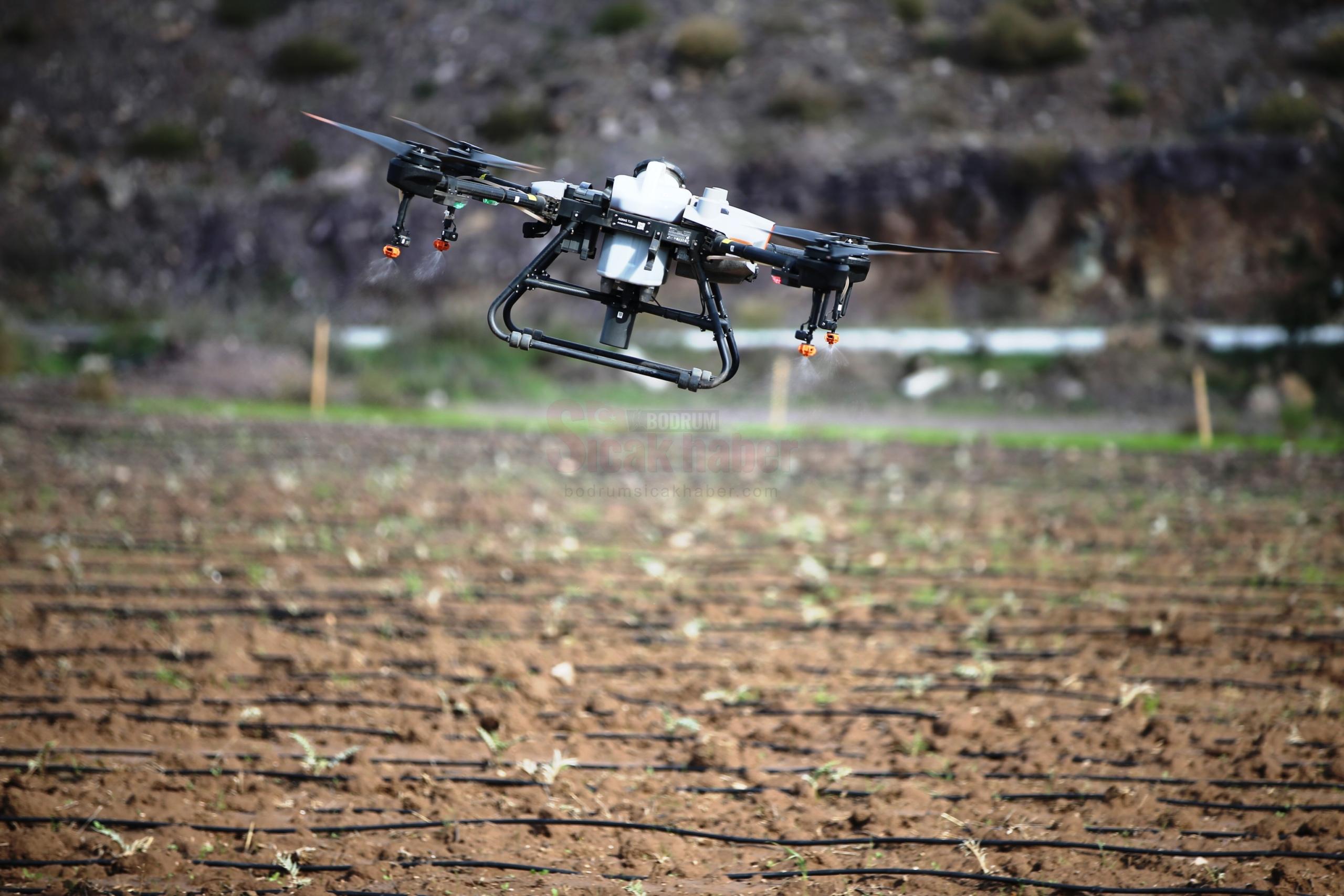 BODRUM'DA DRON HİZMETİ ÇİFTÇİNİN YÜZÜNÜ GÜLDÜRDÜ