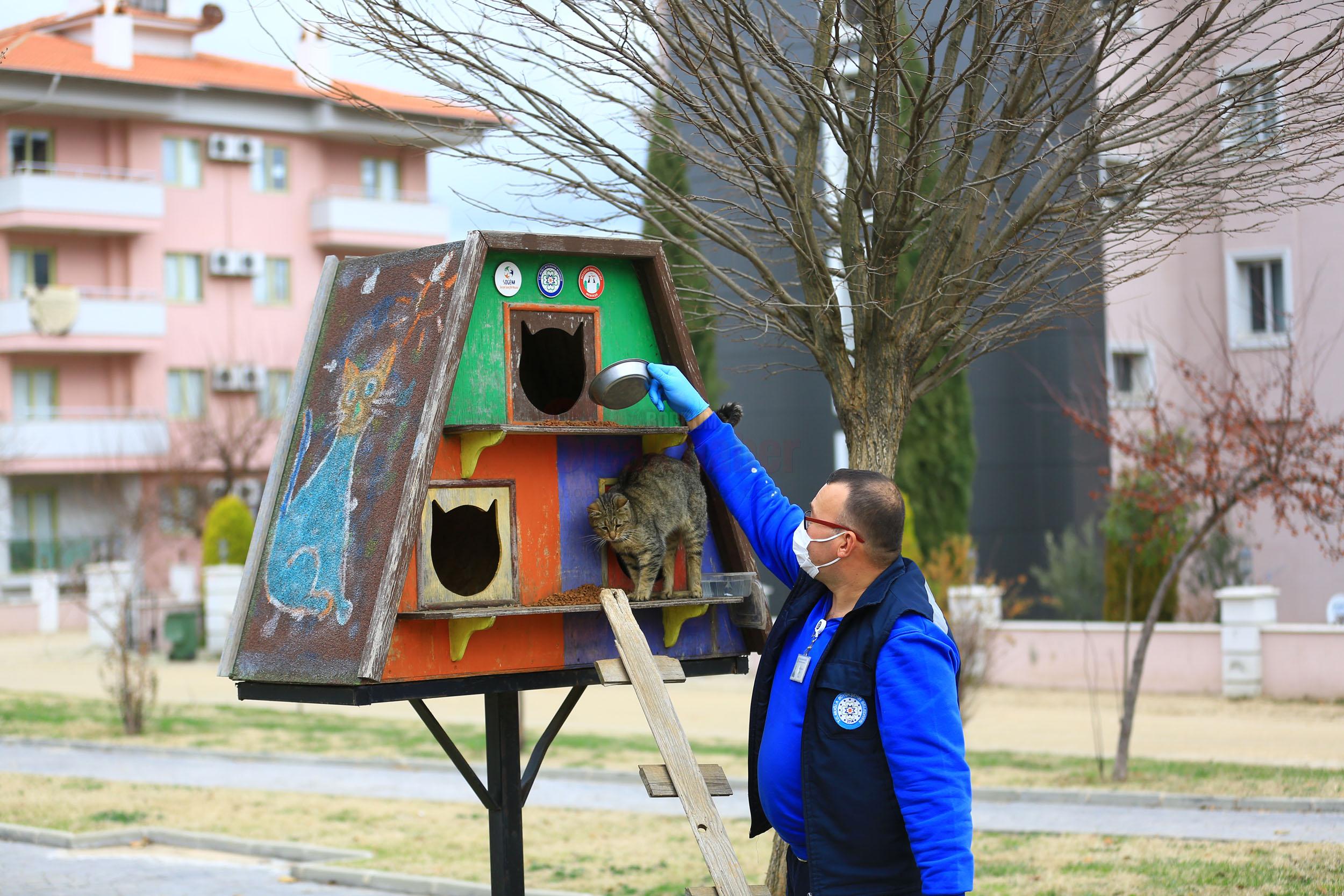 Büyükşehir candostlar için mama üretimine devam ediyor (1)