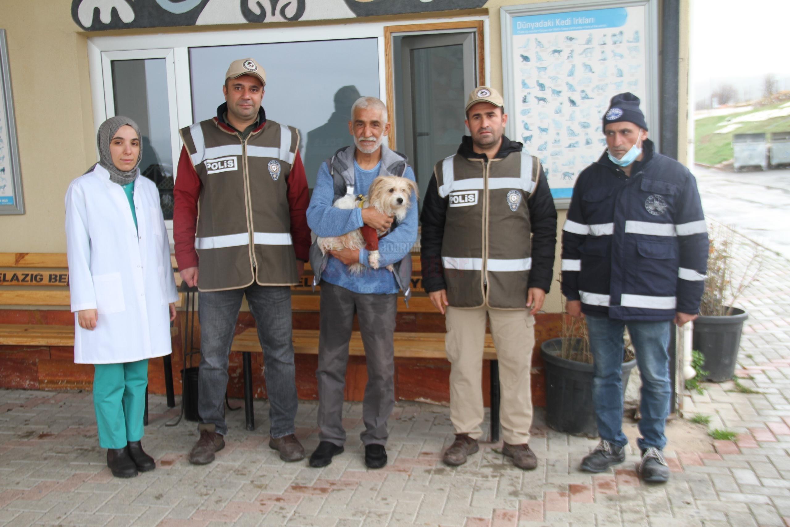 MUĞLA'DA ÇALINAN KÖPEK, ÇİPİ SAYESİNDE ELAZIĞ'DA BULUNARAK SAHİBİNE TESLİM EDİLDİ ÇALINAN KÖPEK, BİN 309 KİLOMETRE UZAKLIKTA BULUNDU