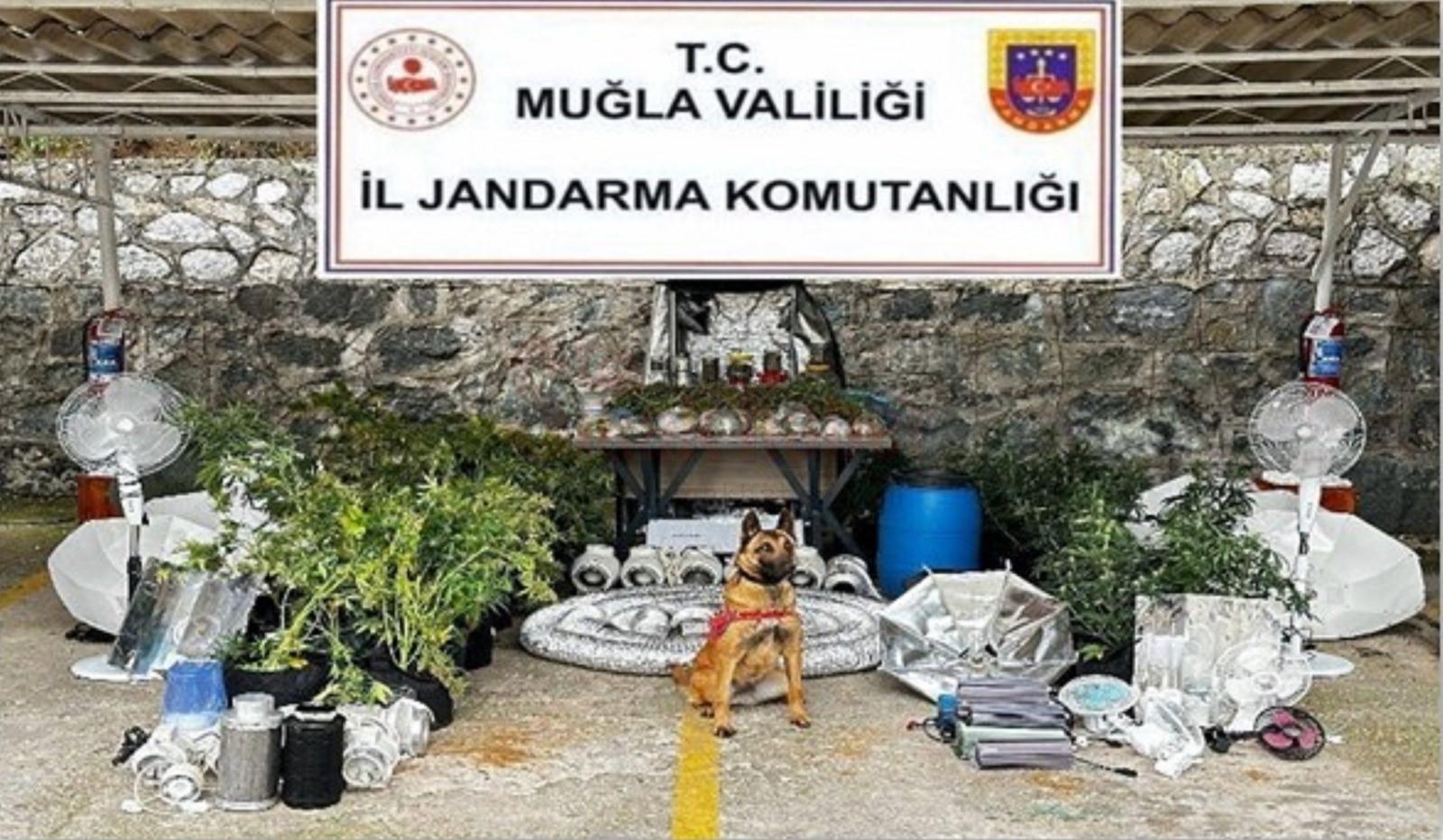 MUĞLA'DA GÜVENLİK GÜÇLERİ UYUŞTURUCUYA GEÇİT VERMEDİ EKİPLER 2 AYDA 638 OPERASYON DÜZENLEDİ 712 KİŞİ GÖZALTINA ALINDI