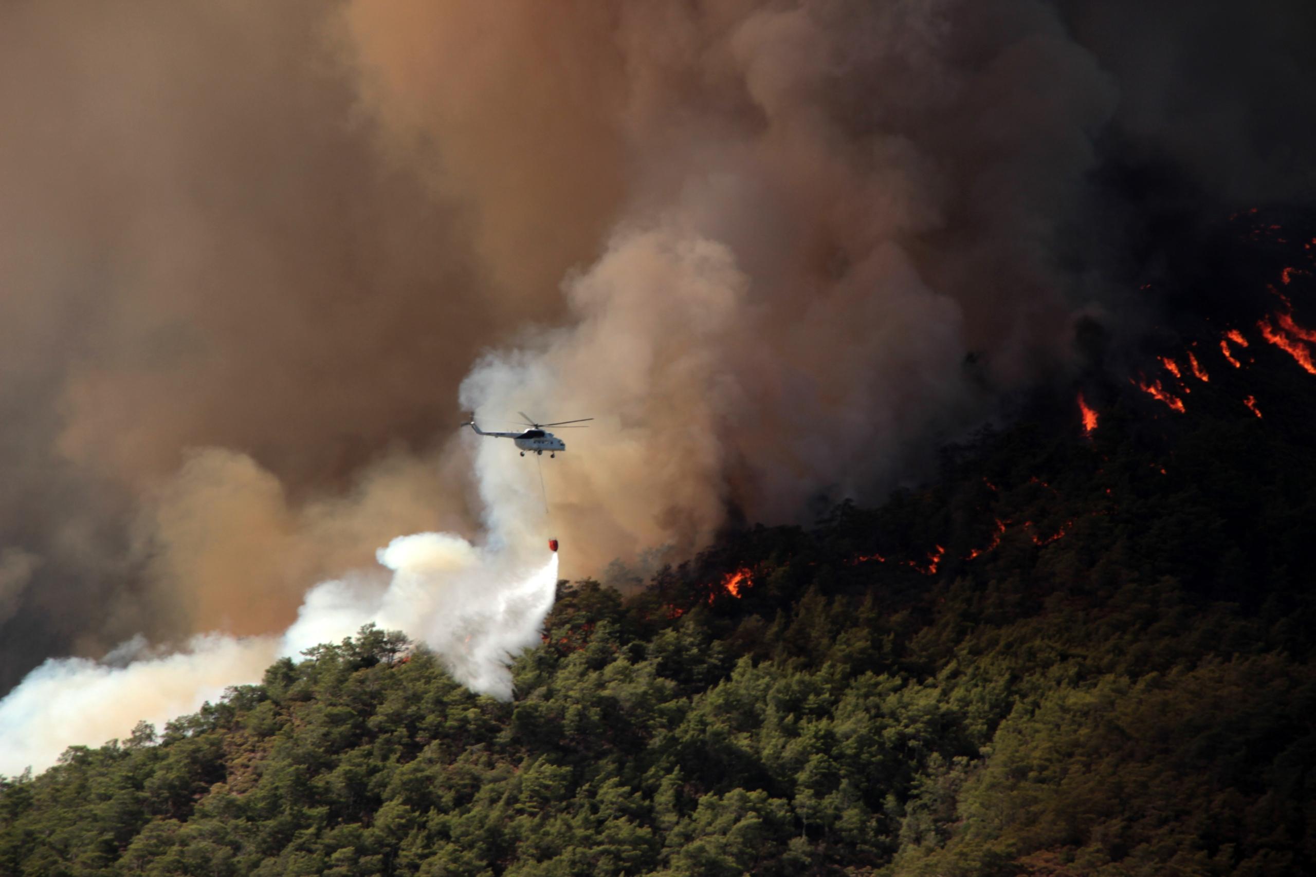 MUĞLA'DA 31 EKİM'E KADAR ORMANLARA GİRİŞ YASAKLANDI