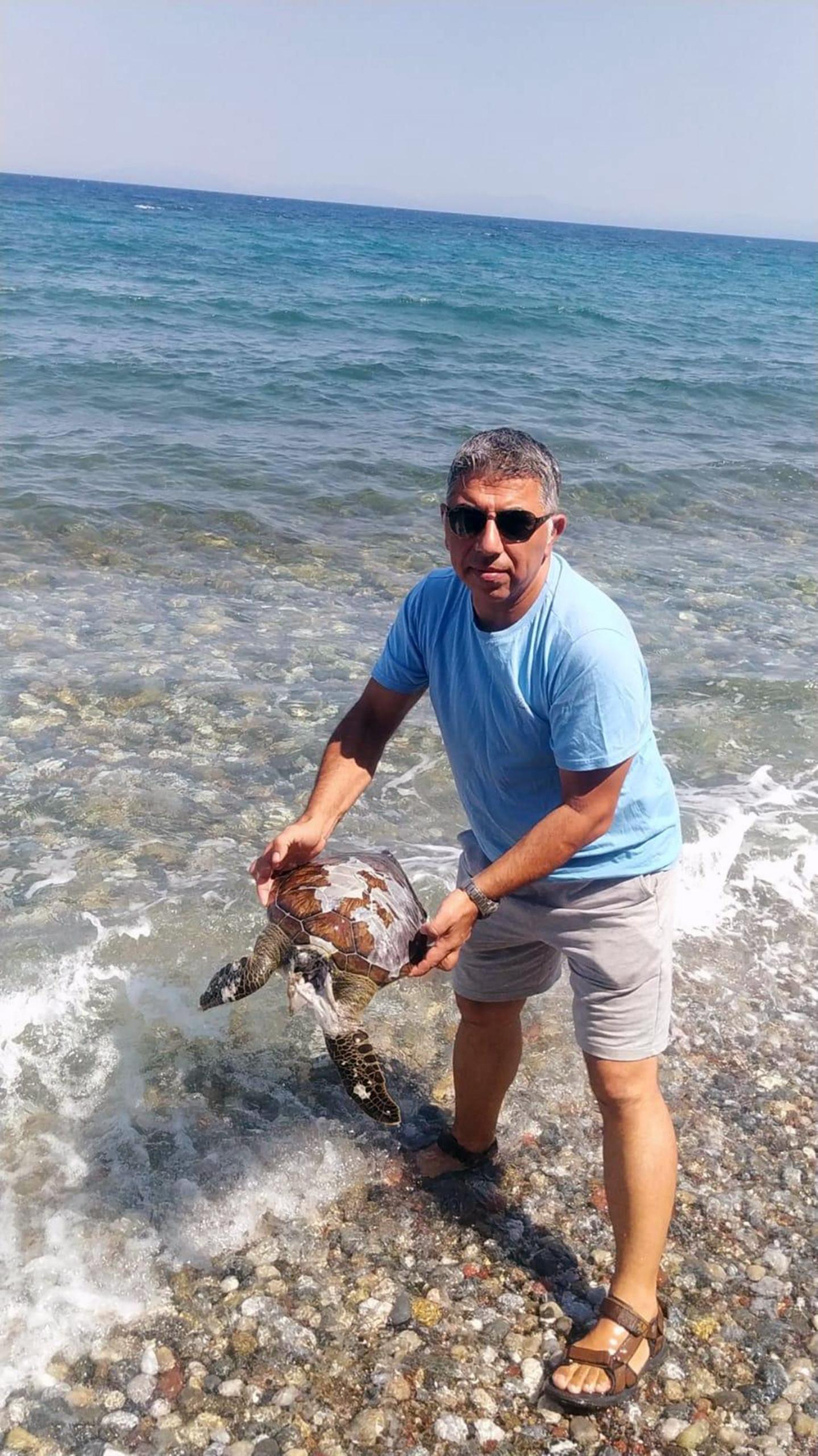 YAVRU DENİZ KAPLUMBAĞA ÖLÜSÜ KIYIYA VURDU