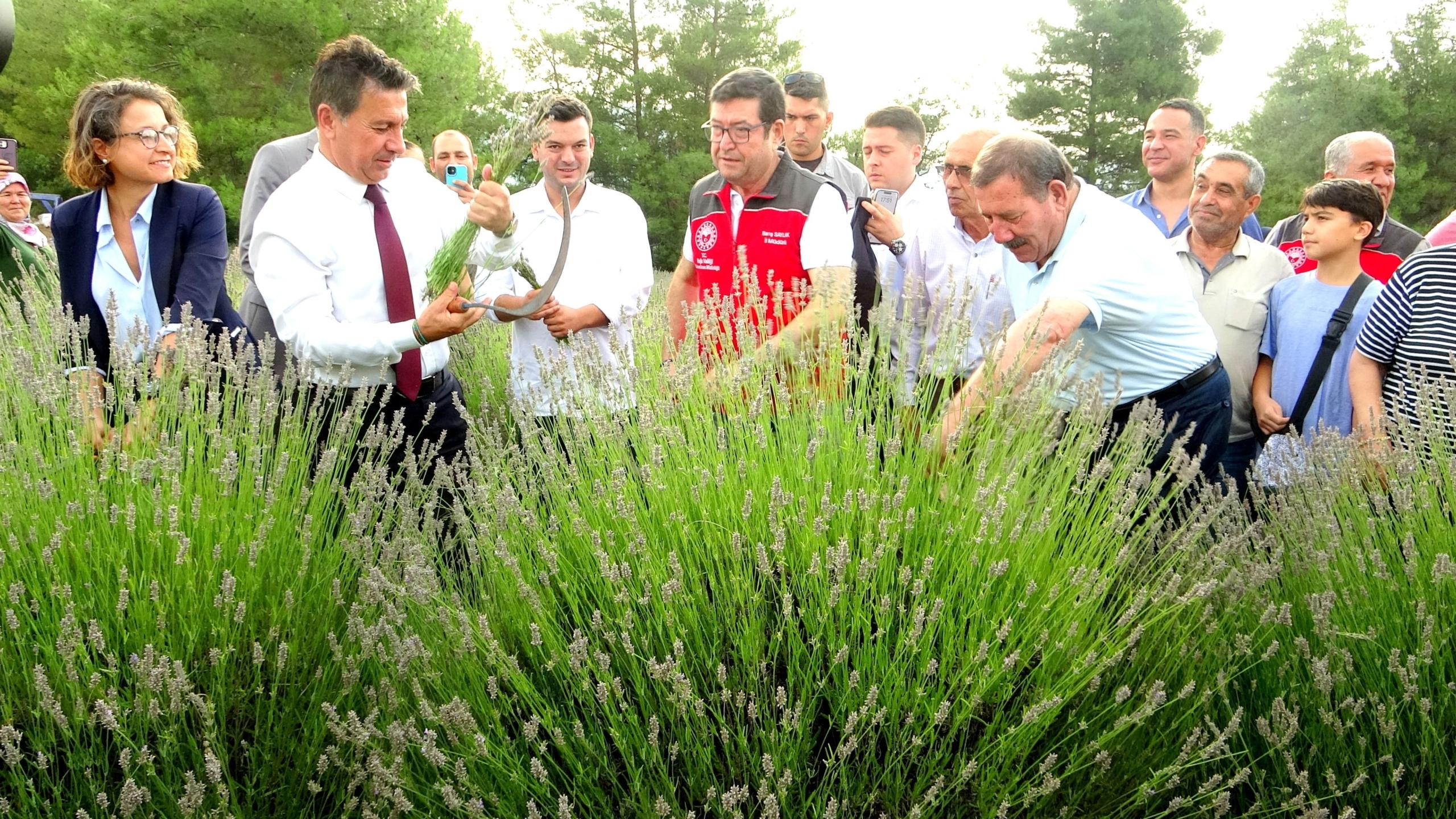 MUĞLA BÜYÜKŞEHİR BELEDİYESİ'NDEN LAVANTA ŞENLİĞİ