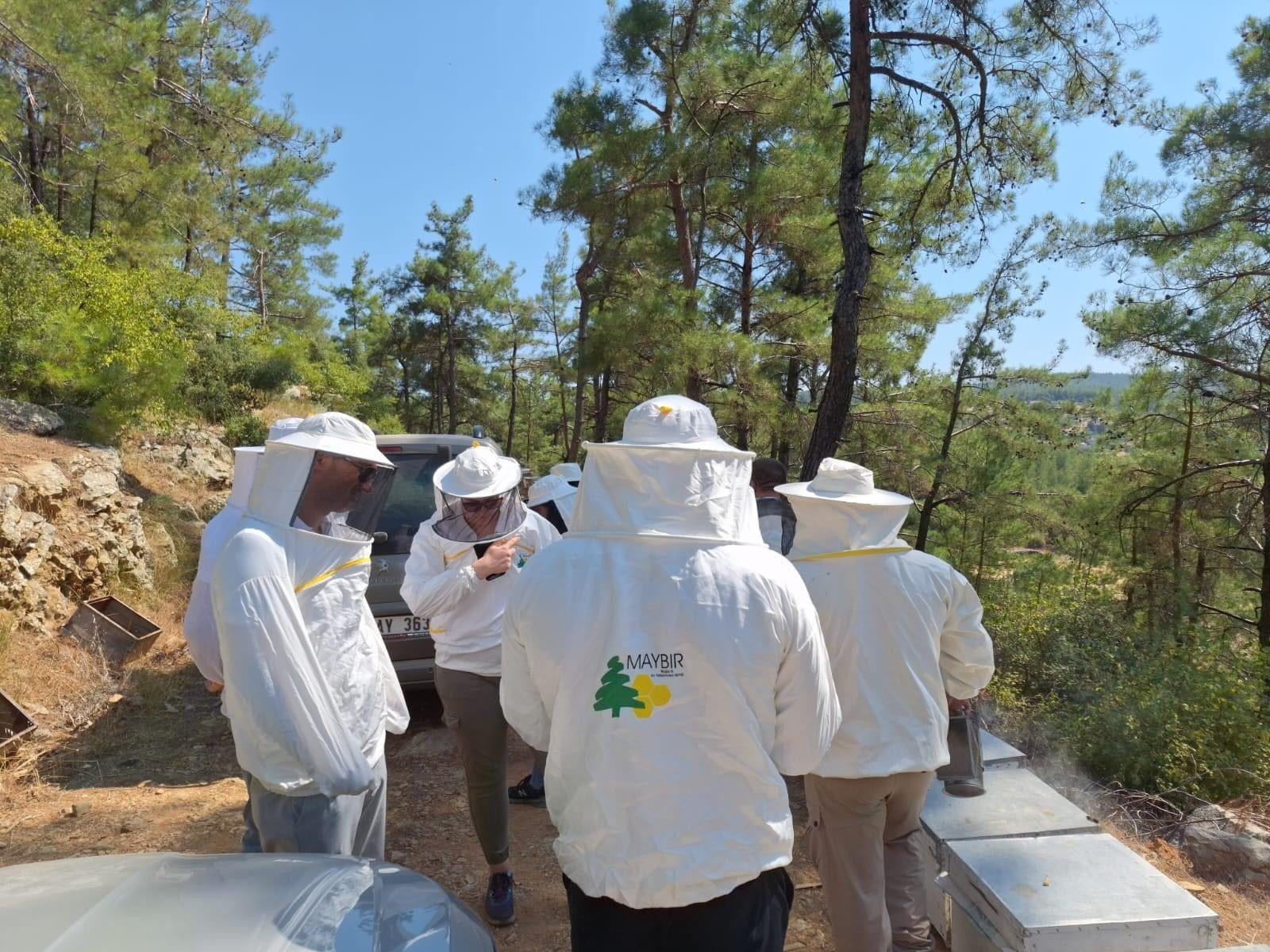 MUĞLA'NIN ÇAM BALI, BİRLEŞİK KRALLIK'IN RADARINDA MUĞLA'DAN İNGİLTERE'YE BAL HATTI