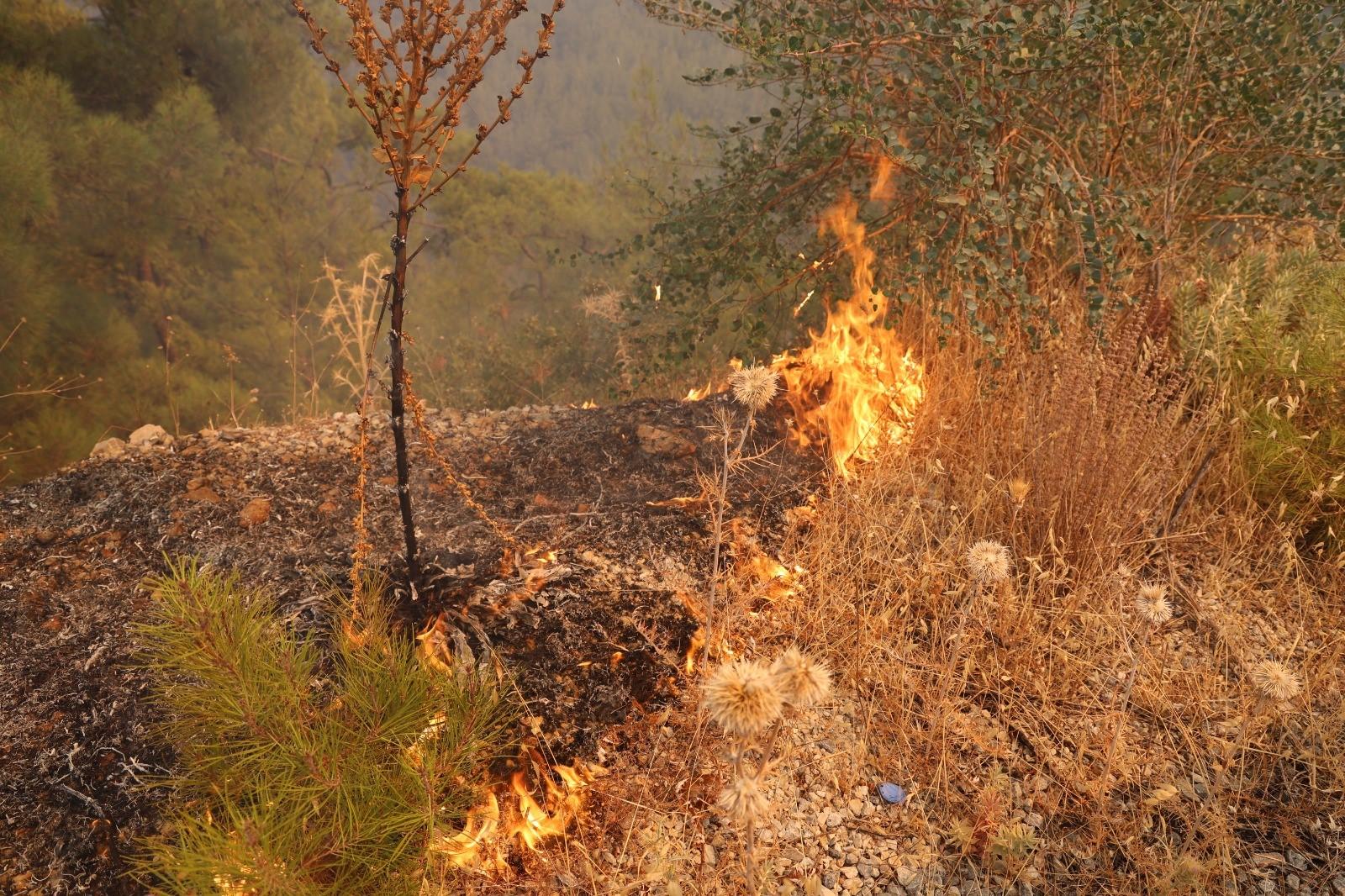 MUĞLA'DAKİ YANGIN YOLU KAPATTI YERKESİK-AKBÜK KARAYOLU ULAŞIMA KAPANDI