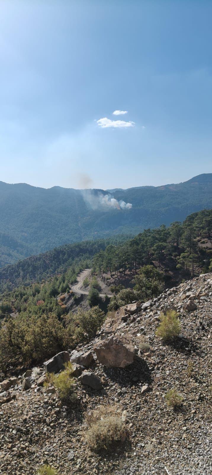 KÖYCEĞİZ'DE ORMAN YANGINI