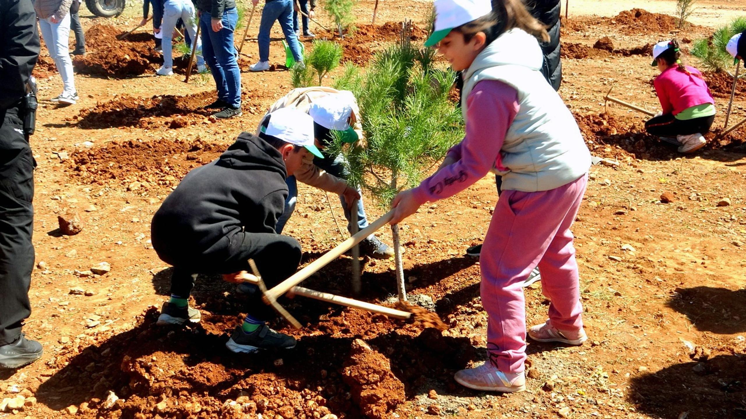 MUĞLA'NIN 11 İLÇESİNDE, 11 KASIM'DA, SAAT 11.11'DE BİNLERCE FİDAN TOPRAKLA BULUŞACAK