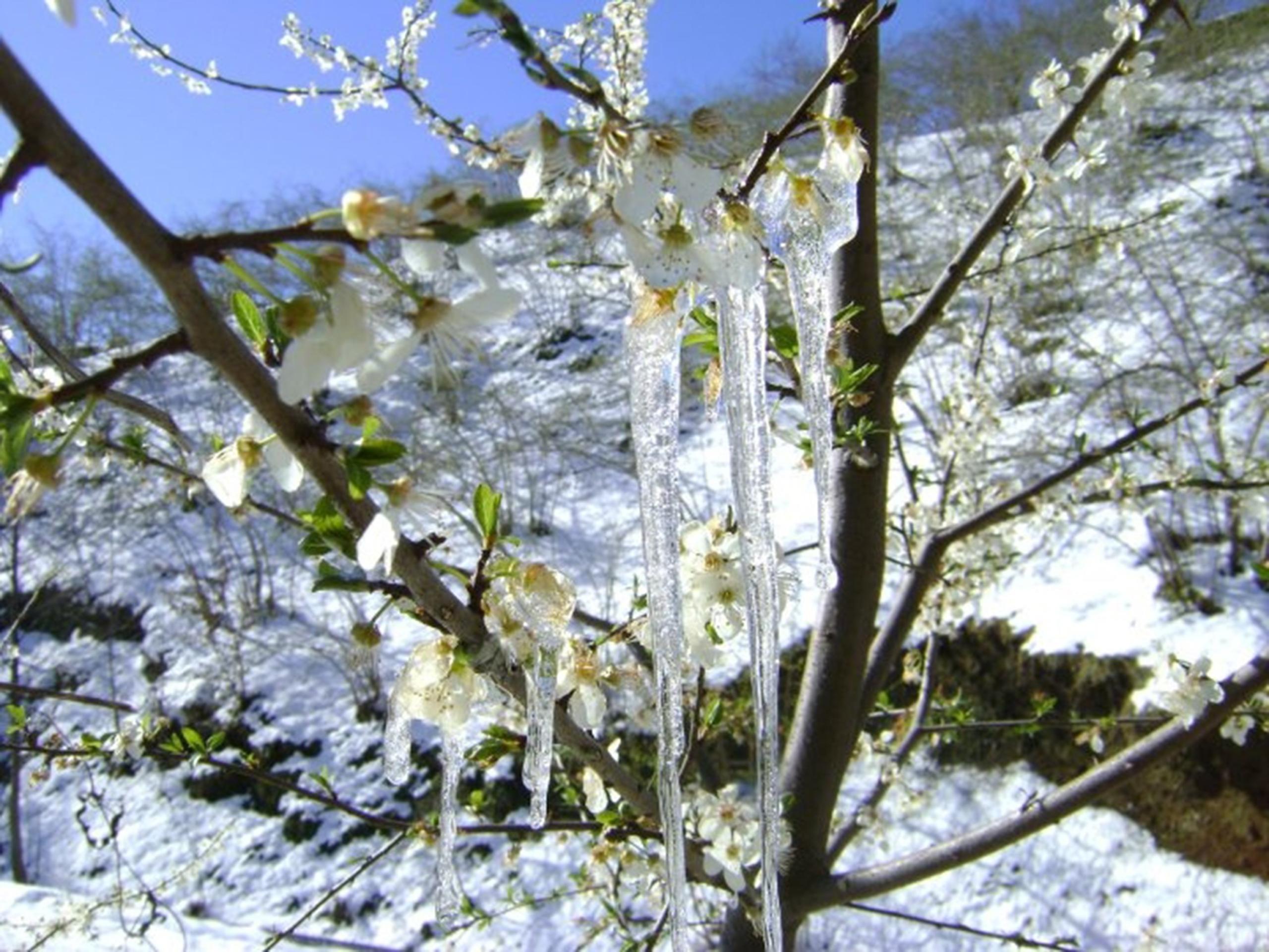 MUĞLA'YA YAĞMUR SONRASI SOĞUK HAVA UYARISI