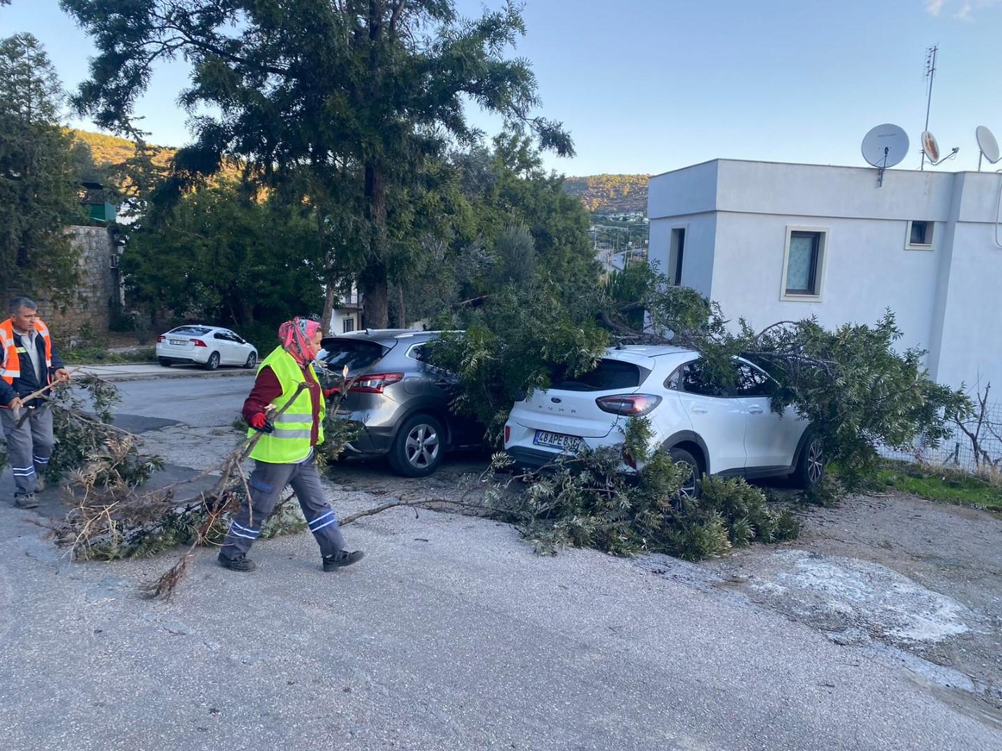 bodrum_belediyesi_Belediye Ekipleri Fırtına Mesaisinde (9)