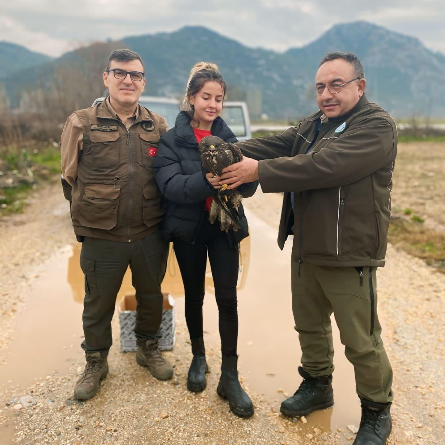 MENTEŞE'DE YARALI ŞAHİN KURTARILDI